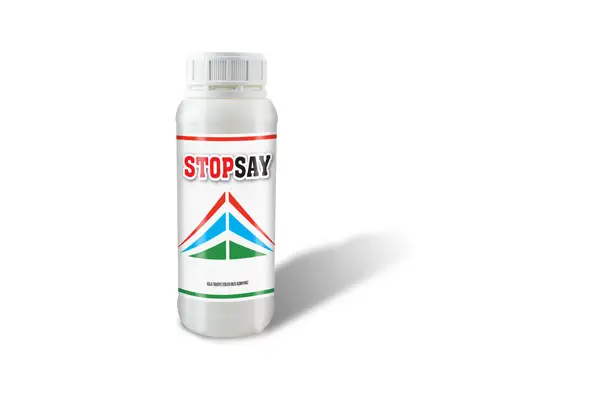 STOPSAY