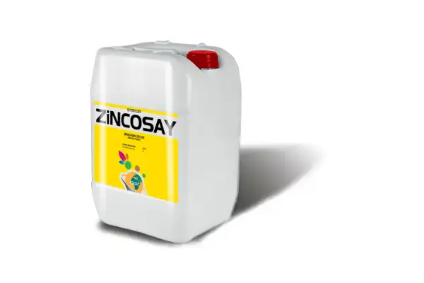 ZİNCOSAY